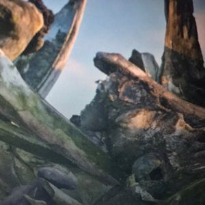 Meet your Posher, Braun